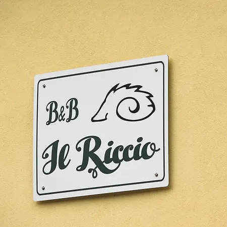 Il Riccio