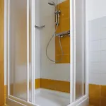 Il Riccio
