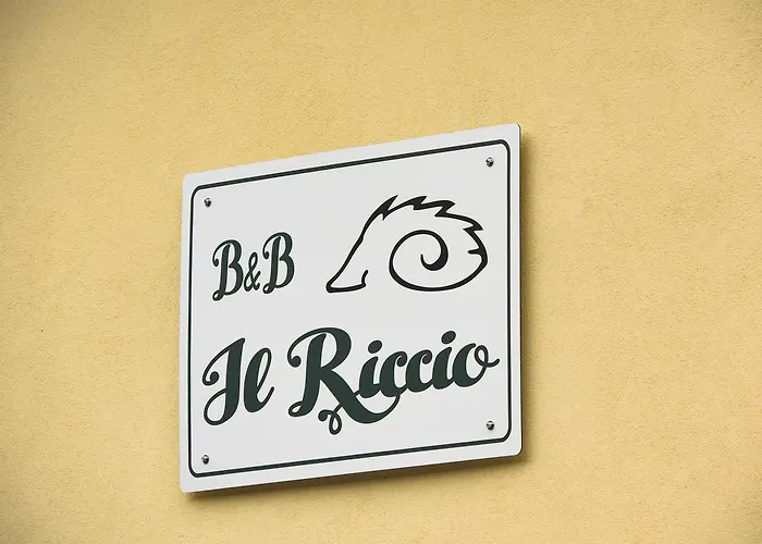 Il Riccio